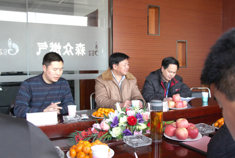 林口县政府与亚-搏全站手机网页版登入页面燃气项目洽谈.png